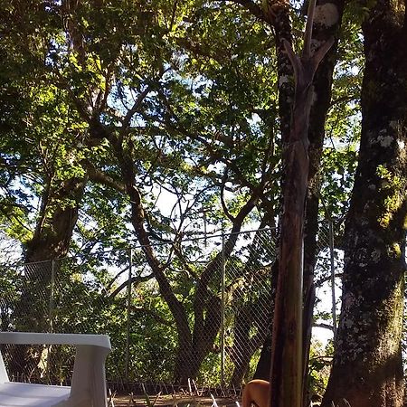 Nature House Monteverde Exterior photo